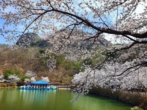 ���� ����2