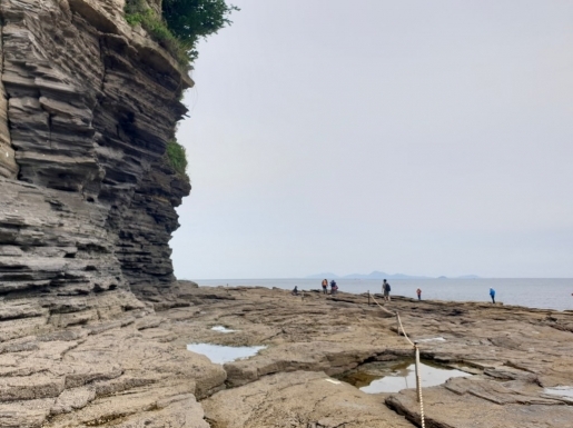 ���� ����3