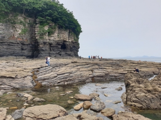 ���� ����6