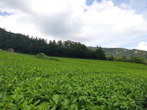 ���� ����3