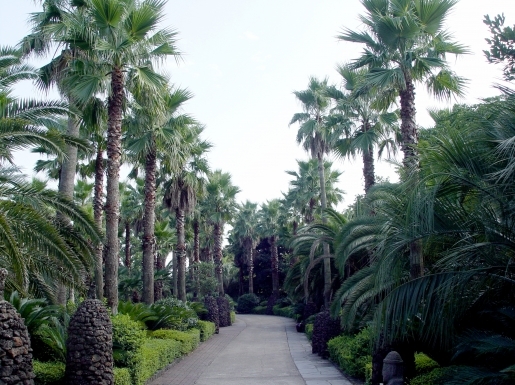 ���� ����7