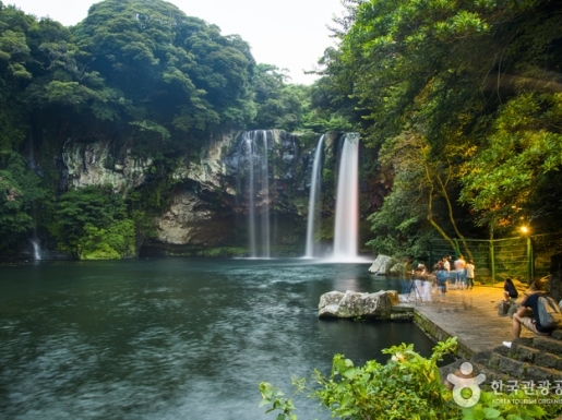 ���� ����6