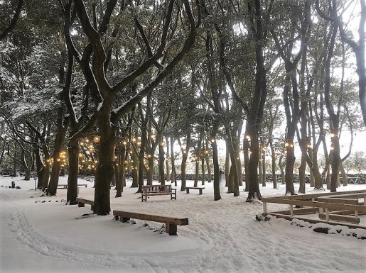 ���� ����5