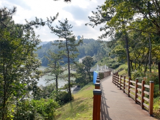 ���� ����7