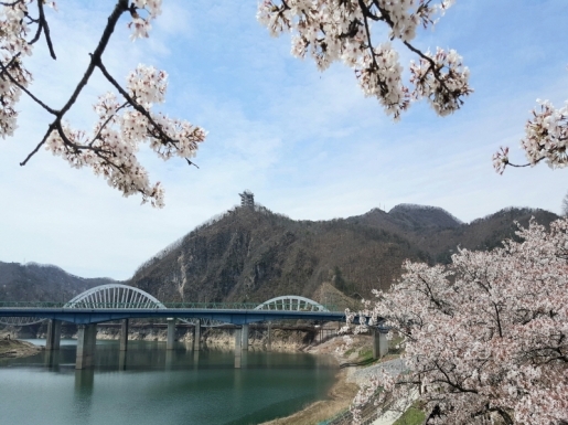 ���� ����4