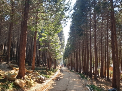 ���� ����7