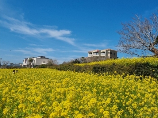 ���� ����3