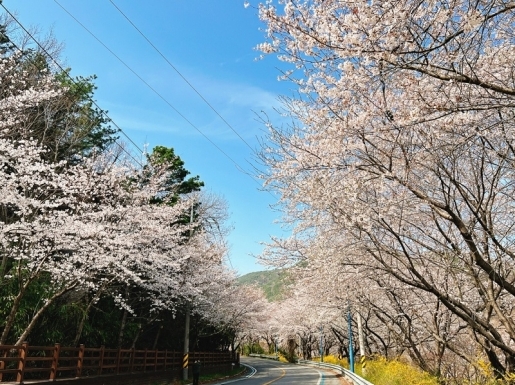 ���� ����3