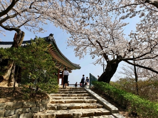 ���� ����4