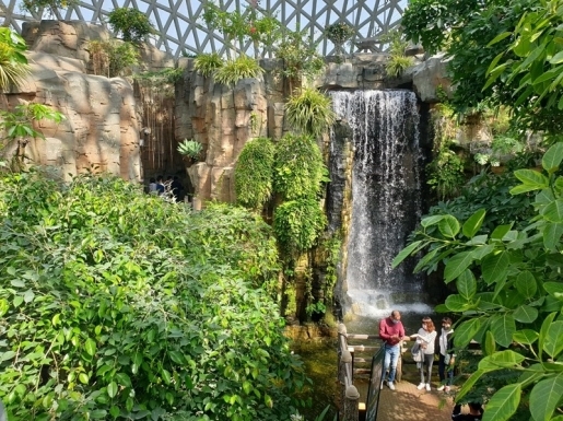 ���� ����3