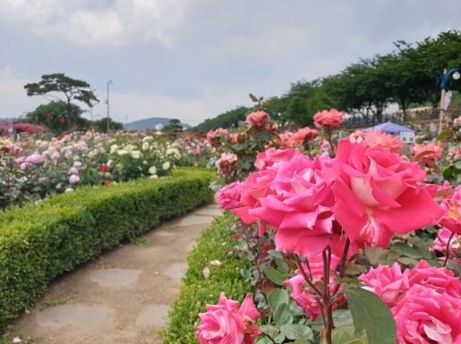 ���� ����3