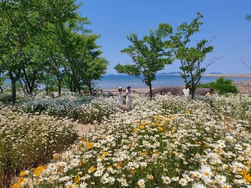 ���� ����6