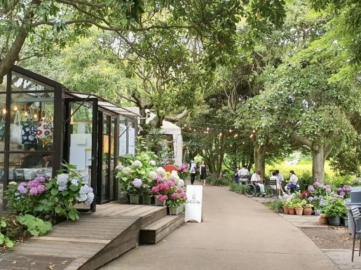 ���� ����2