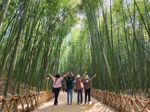 ���� ����5