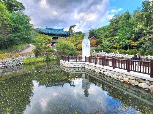 ���� ����3