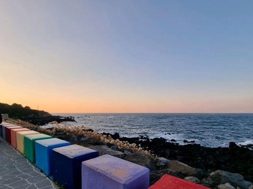 ���� ����5