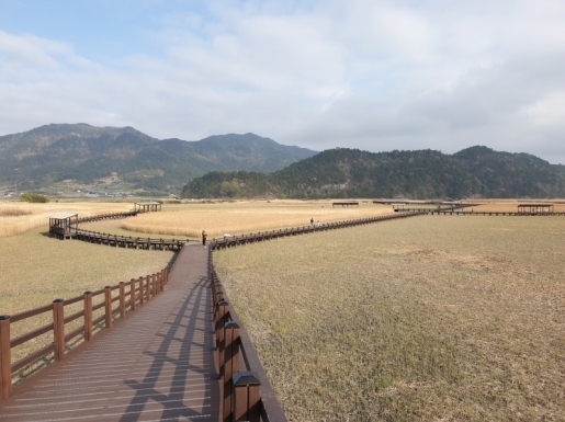 ���� ����5