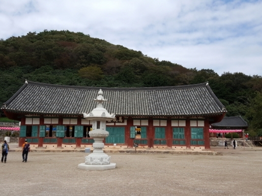 ���� ����3