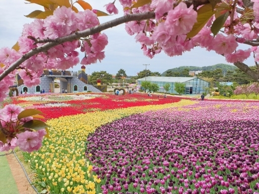 ���� ����3