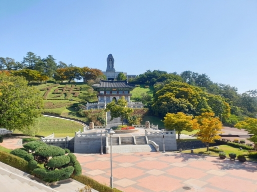 ���� ����3