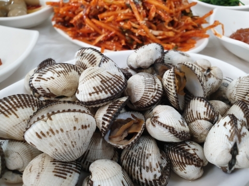 ���� ����5