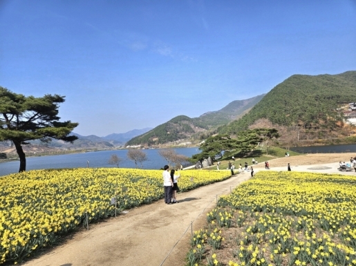 ���� ����6