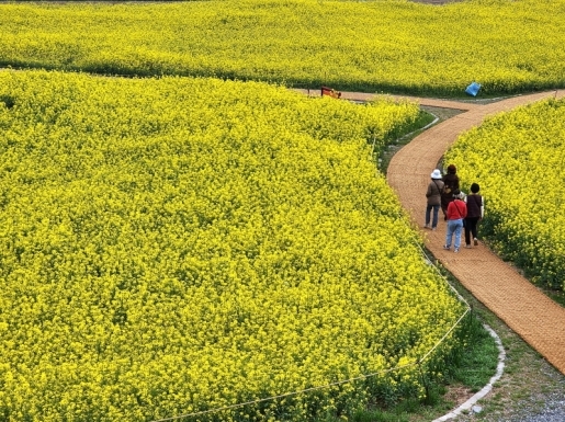 ���� ����2