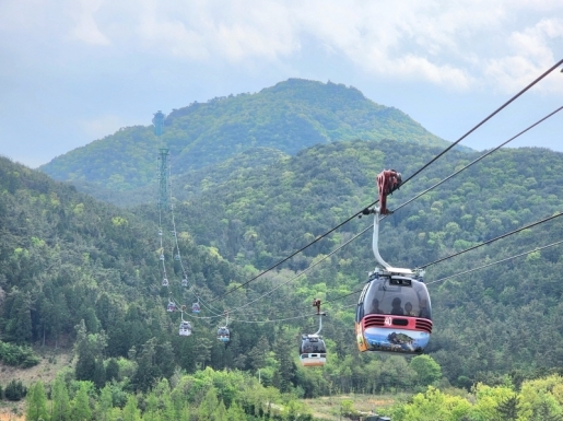 ���� ����4