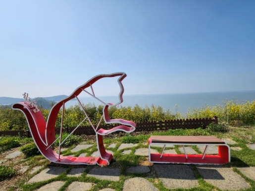 ���� ����6