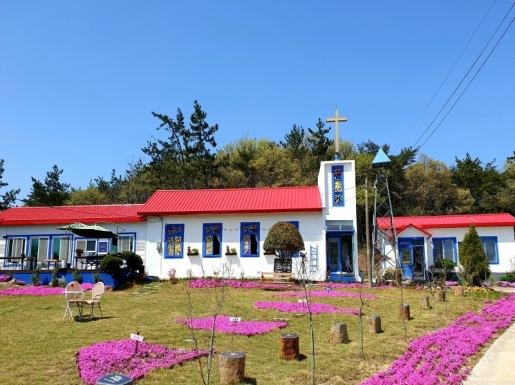 ���� ����3