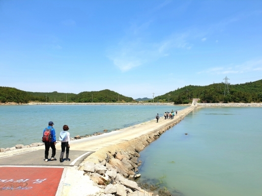 ���� ����2