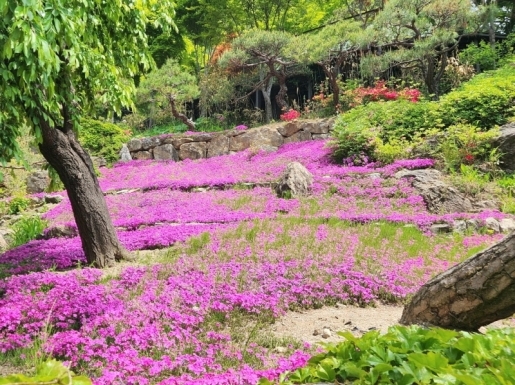 ���� ����4