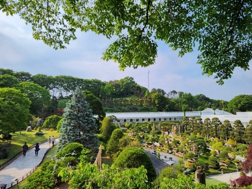 ���� ����5