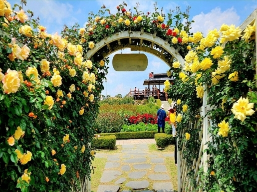 ���� ����4