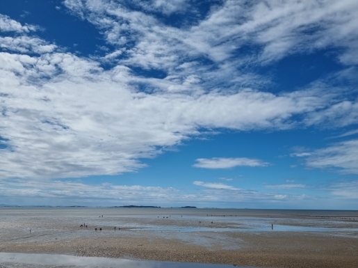 ���� ����5