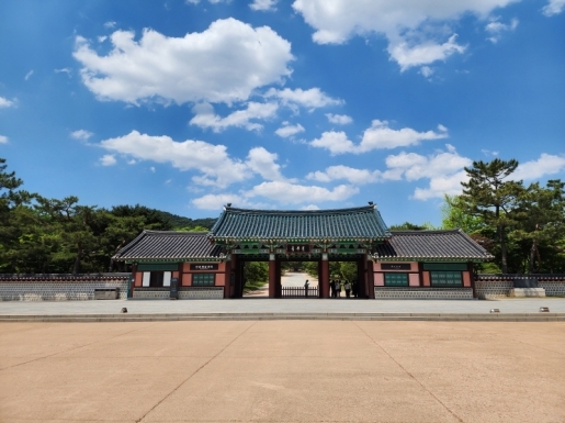 ���� ����6