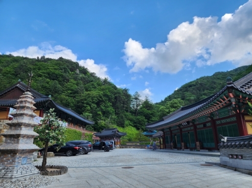 ���� ����7