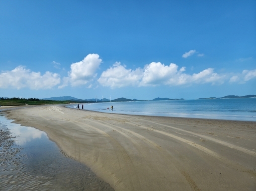 ���� ����7