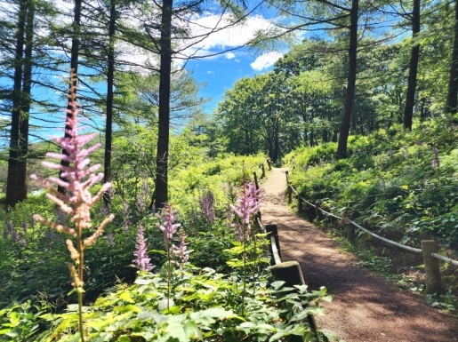 ���� ����6