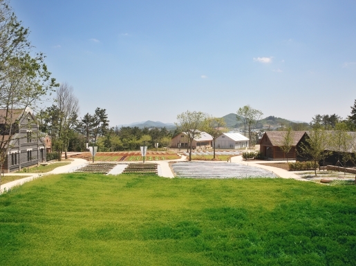 ���� ����6