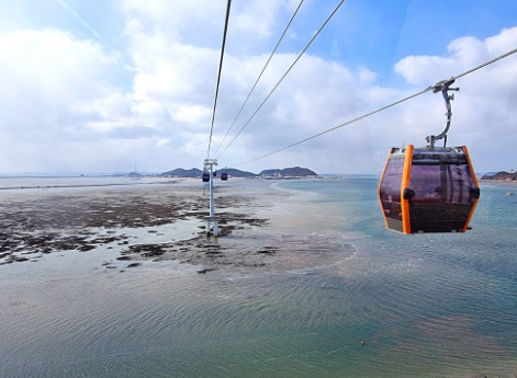 ���� ����1