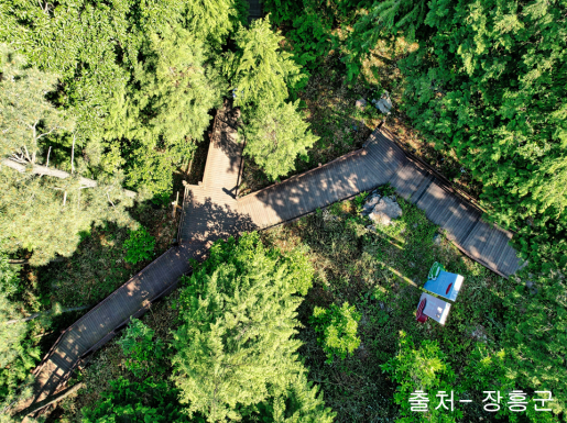 ���� ����6