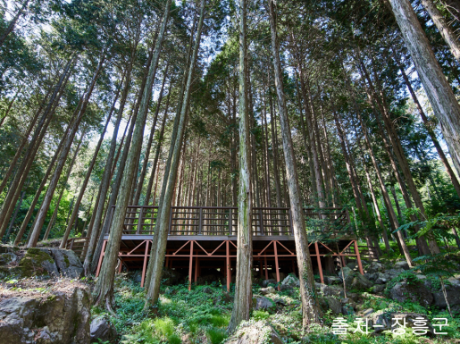 ���� ����6