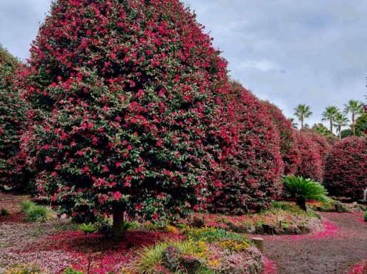 ���� ����2