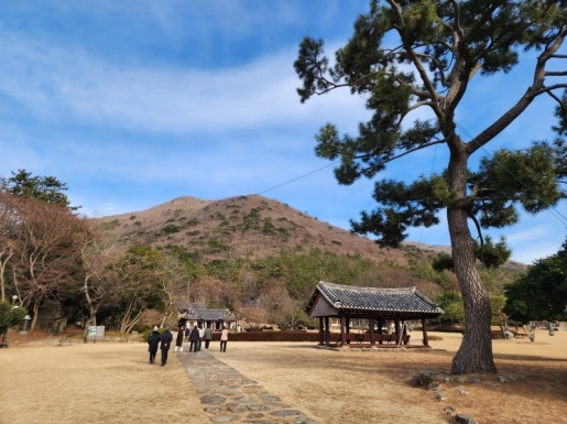 ���� ����6