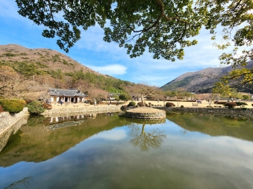 ���� ����5