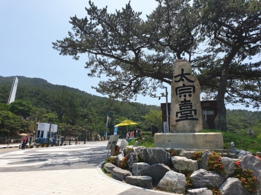 ���� ����6