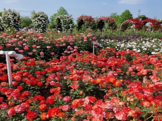 ���� ����3