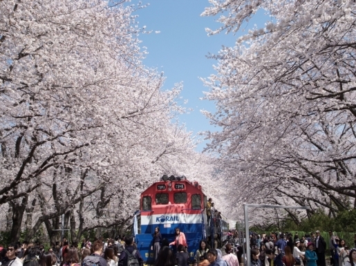 ���� ����2