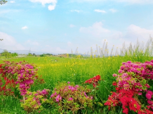 ���� ����3